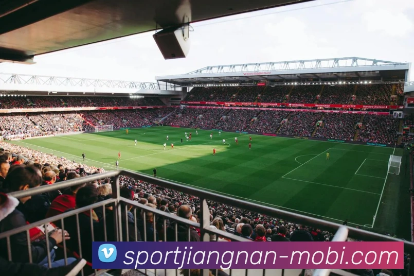 江南体育平台生态图