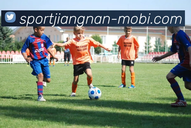 江南体育APP 封面图